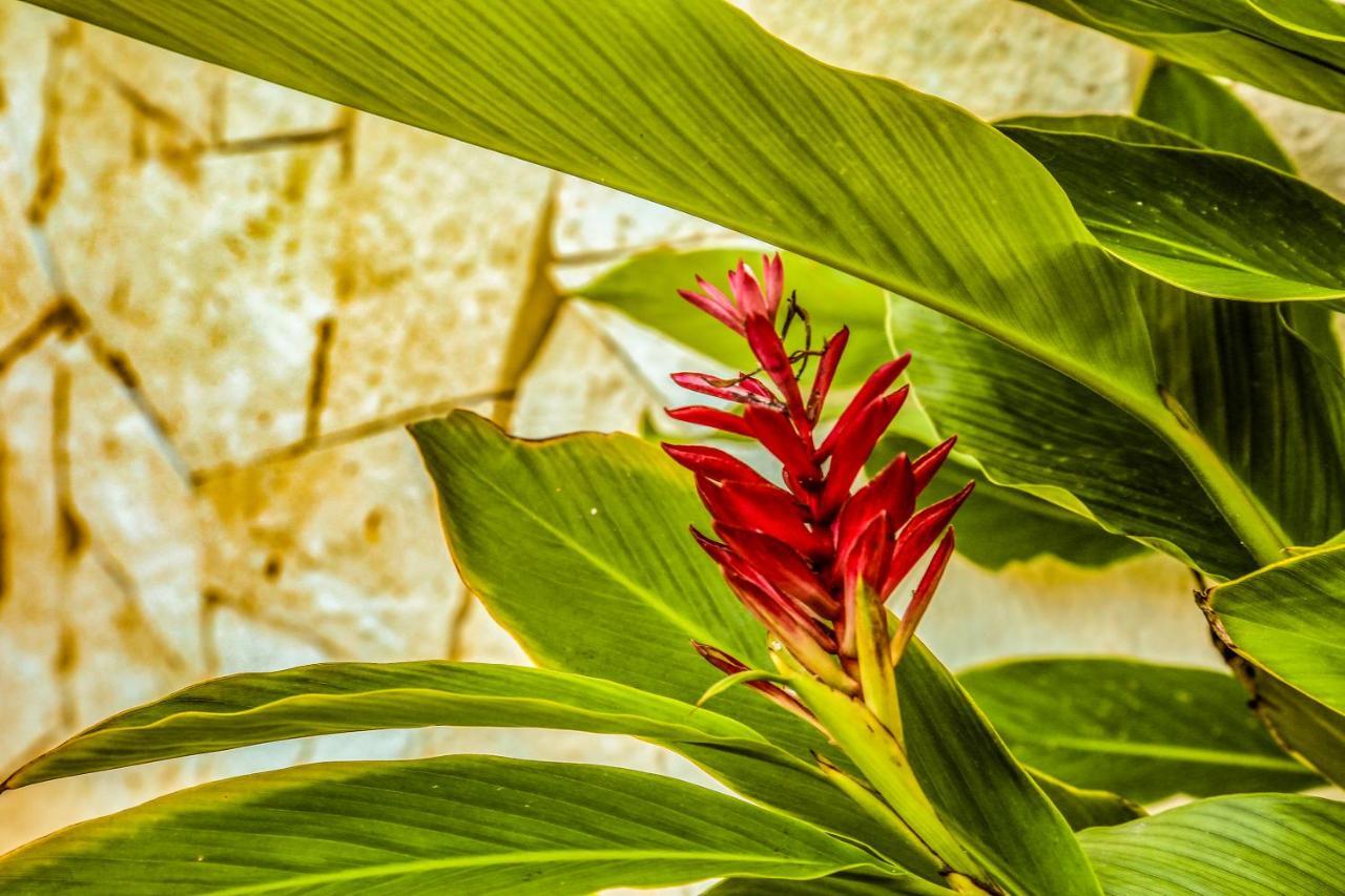 Agam Hotel Bacalar Kültér fotó